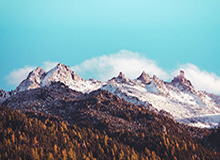 betvictor伟德官方网站——开启智慧投注的新纪元